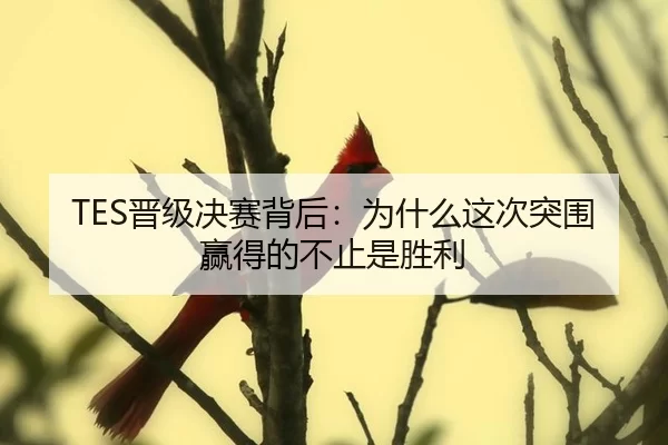 TES晋级决赛背后：为什么这次突围赢得的不止是胜利